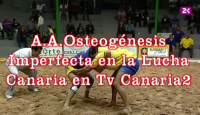 Televisión Canaria